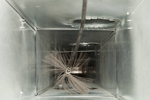 Best Air Vent Cleaning Services  in Walce, LA