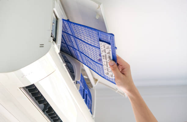 Best Local Air Duct Cleaning Services  in Walce, LA