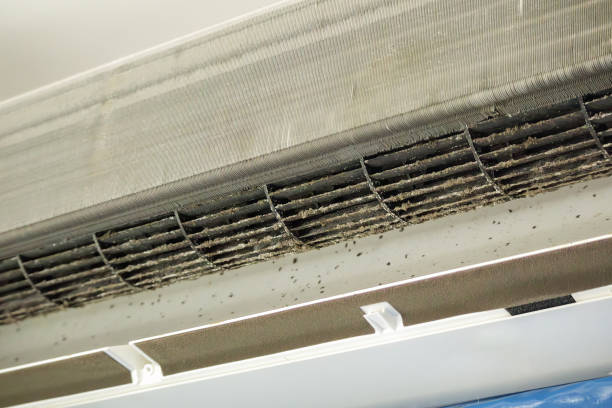Best Affordable Air Duct Cleaning  in Walce, LA